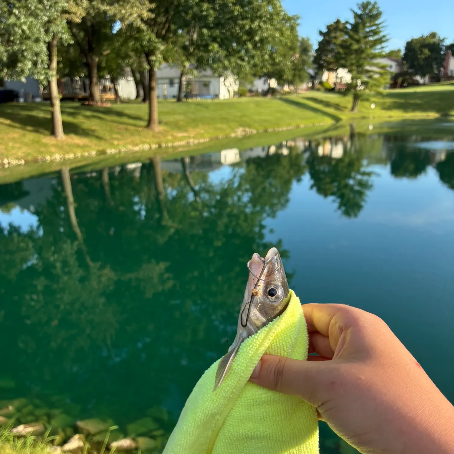 catch