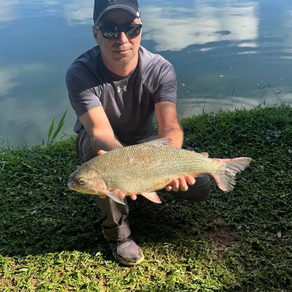 The most recent Matrichan catches on Fishbrain