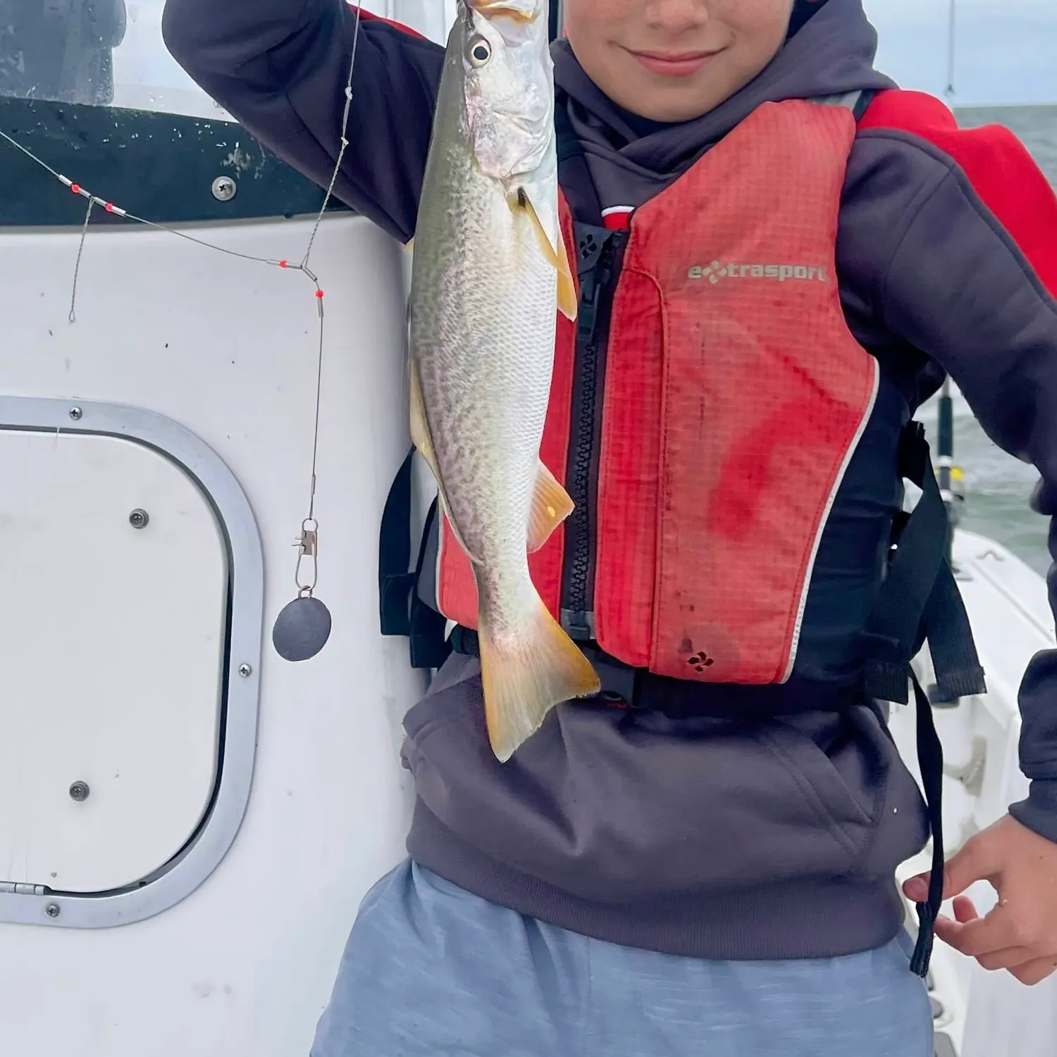 The most recent Gray weakfish catches on Fishbrain