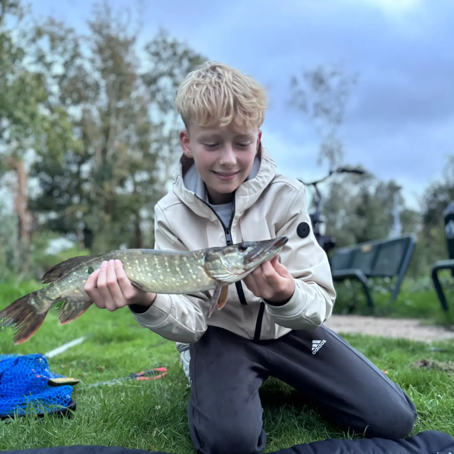 Northern pike caught on Fishbrain