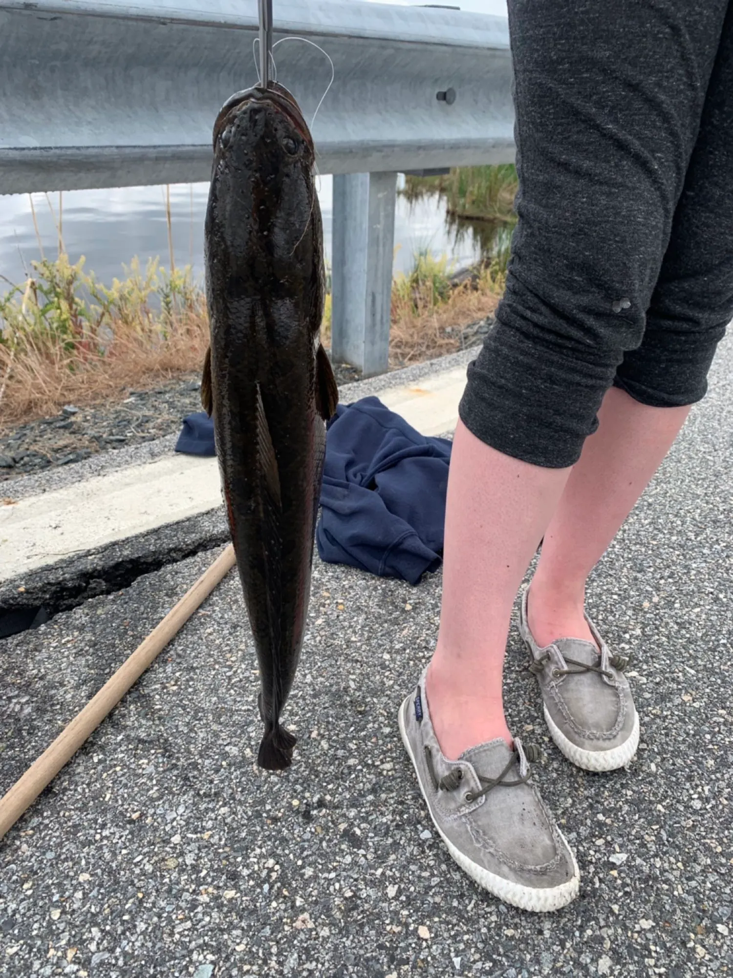 Post image from brittanyfallon