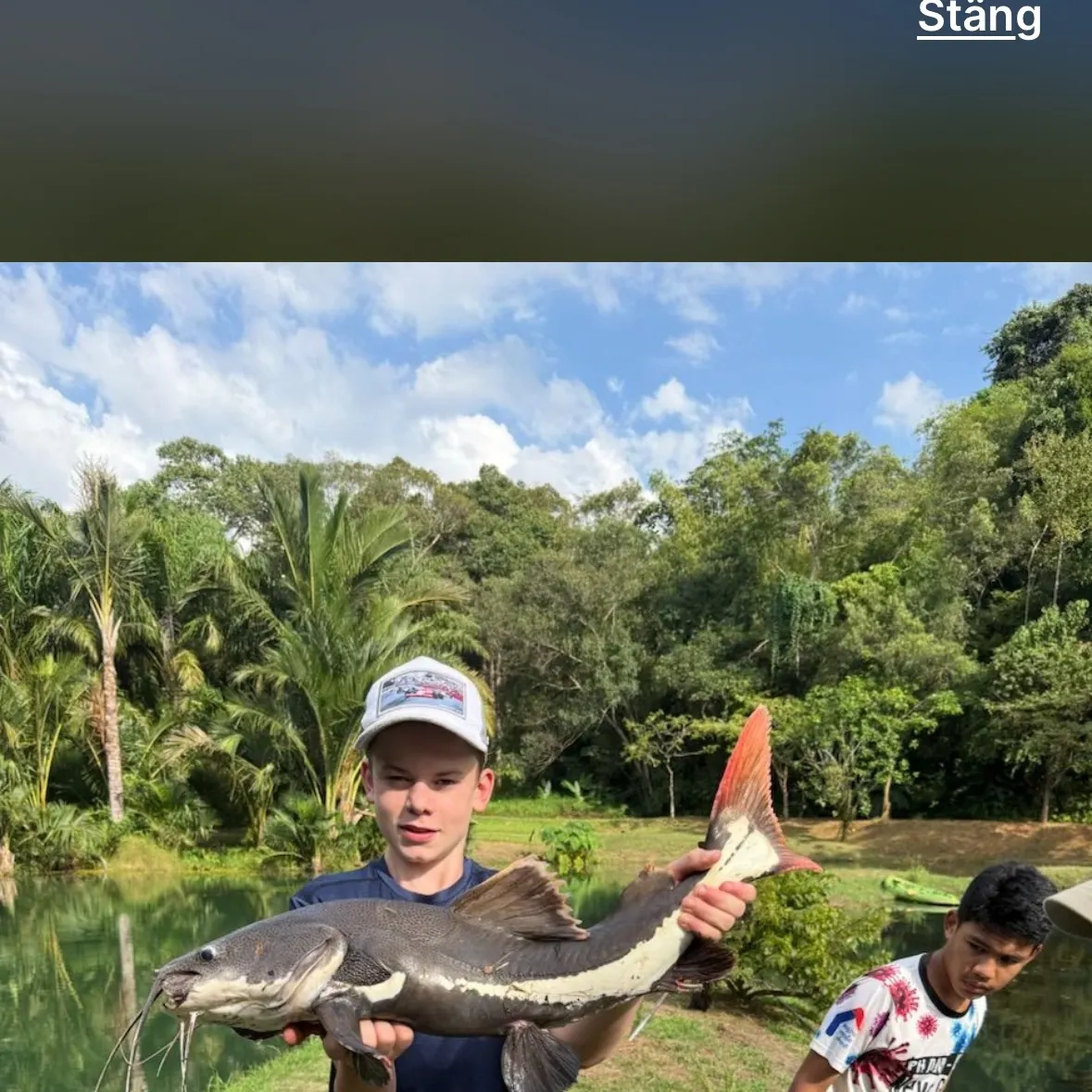 The most recent Redtail catfish catches on Fishbrain