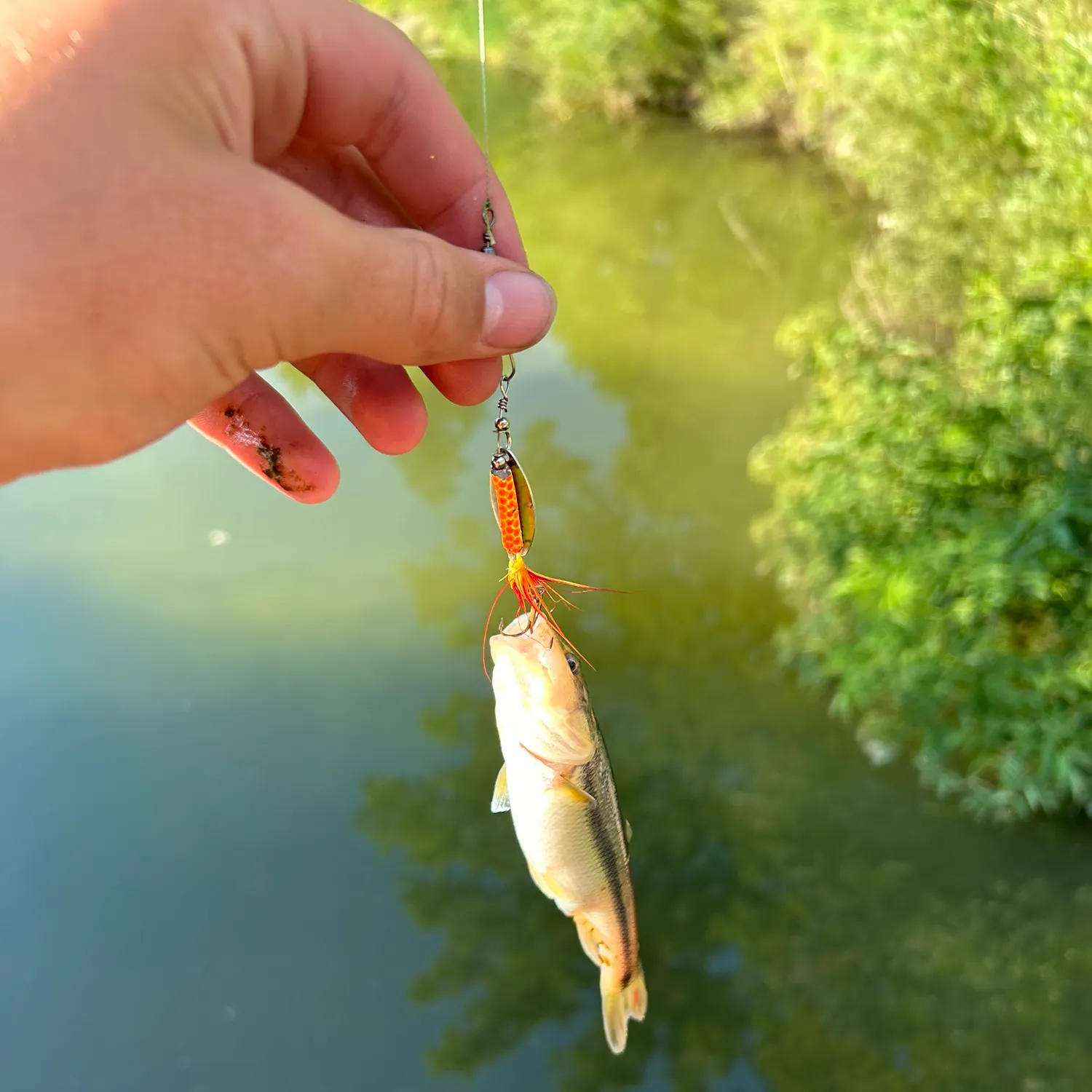 catch