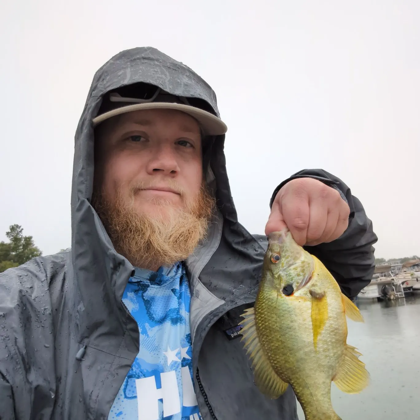 Redear sunfish caught on Fishbrain