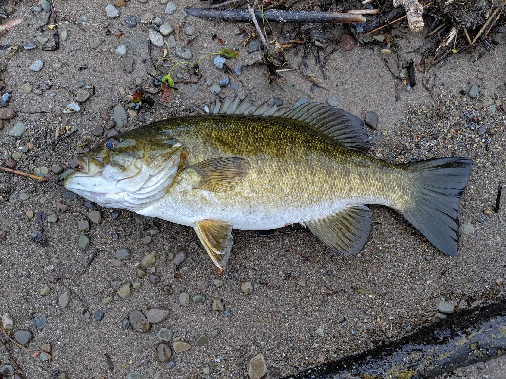 Post image from rg1993