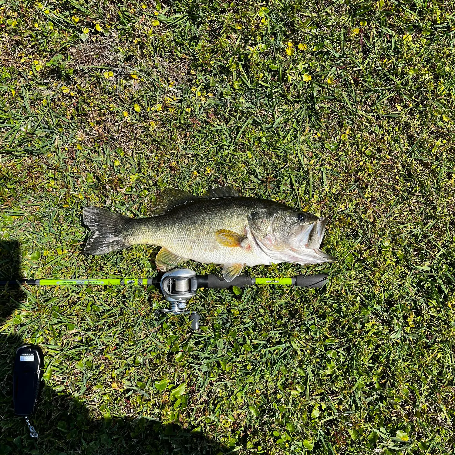 Largemouth bass caught on Fishbrain