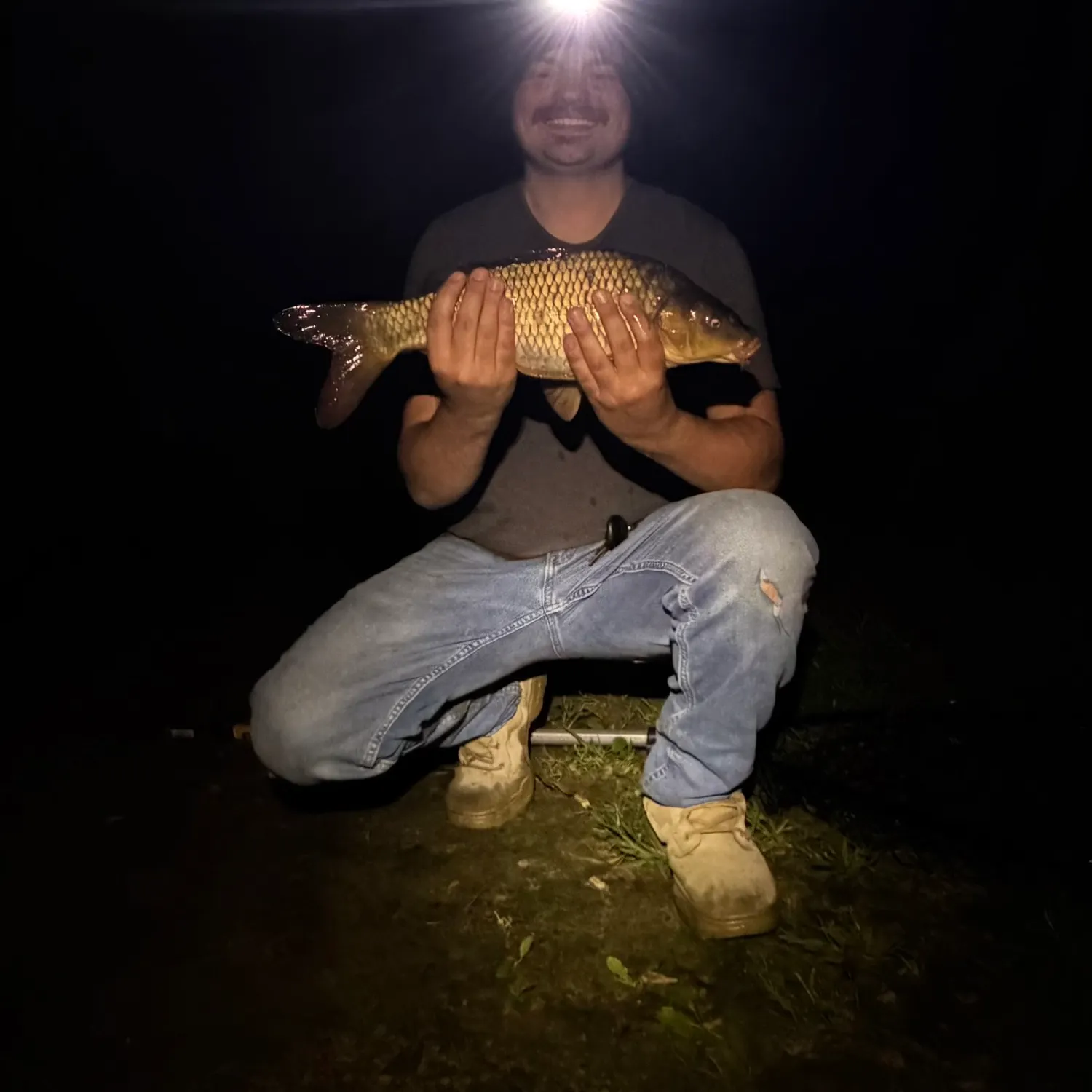 Common carp caught on Fishbrain
