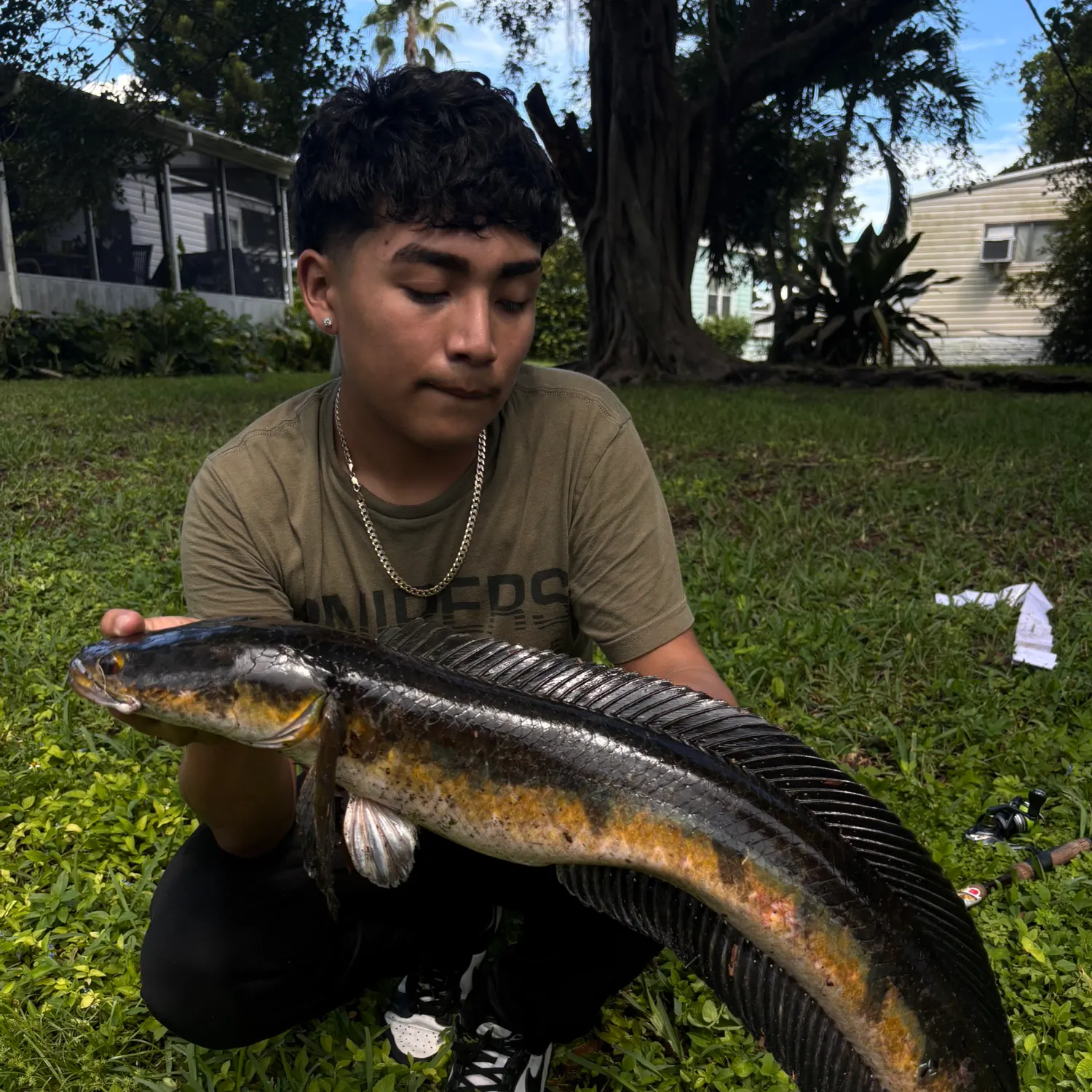 The most recent Bullseye snakehead catches on Fishbrain