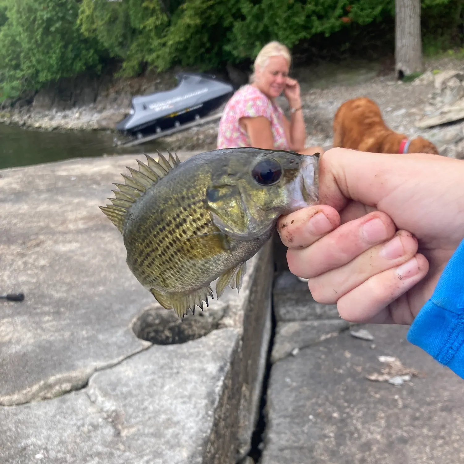 catch