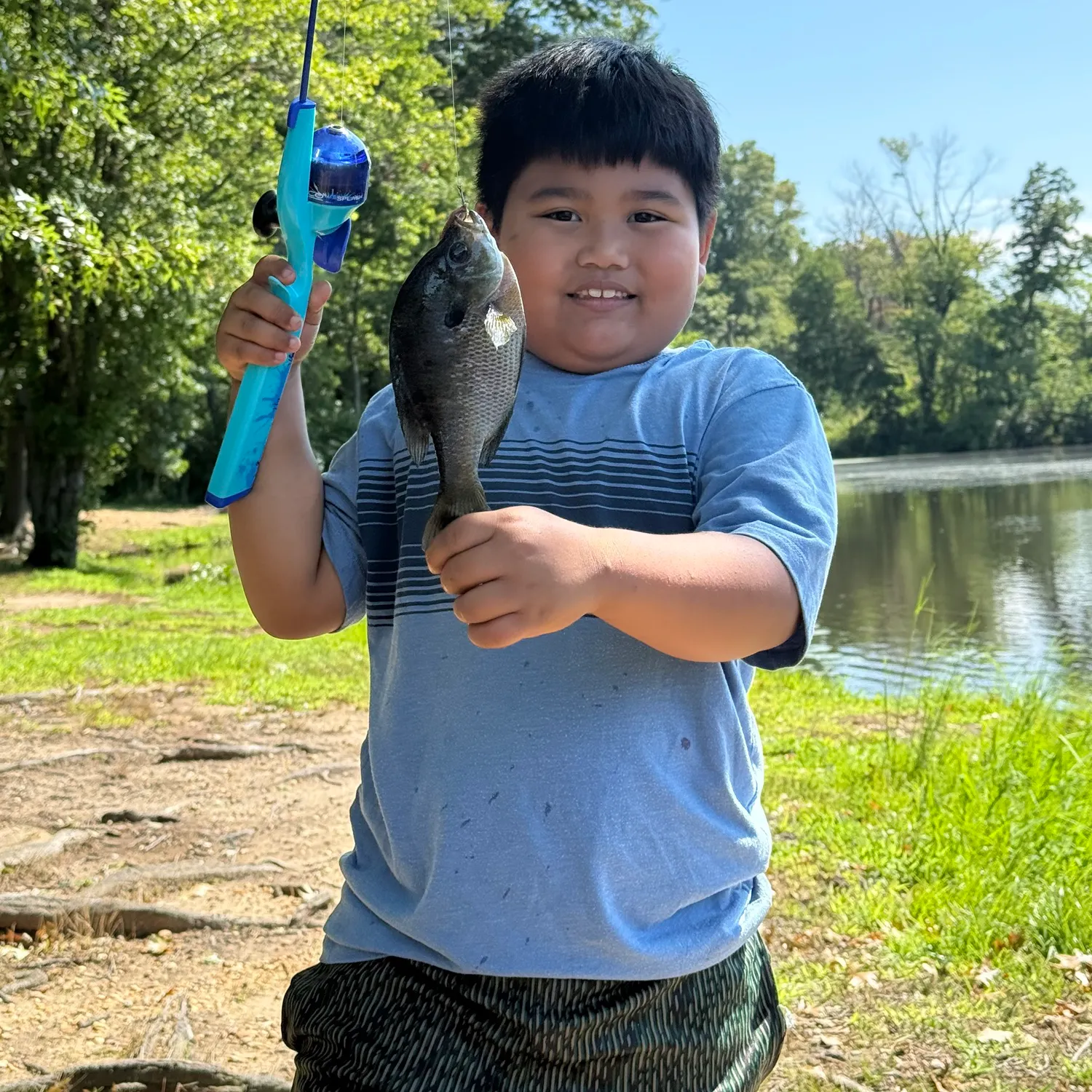 Bluegill caught on Fishbrain