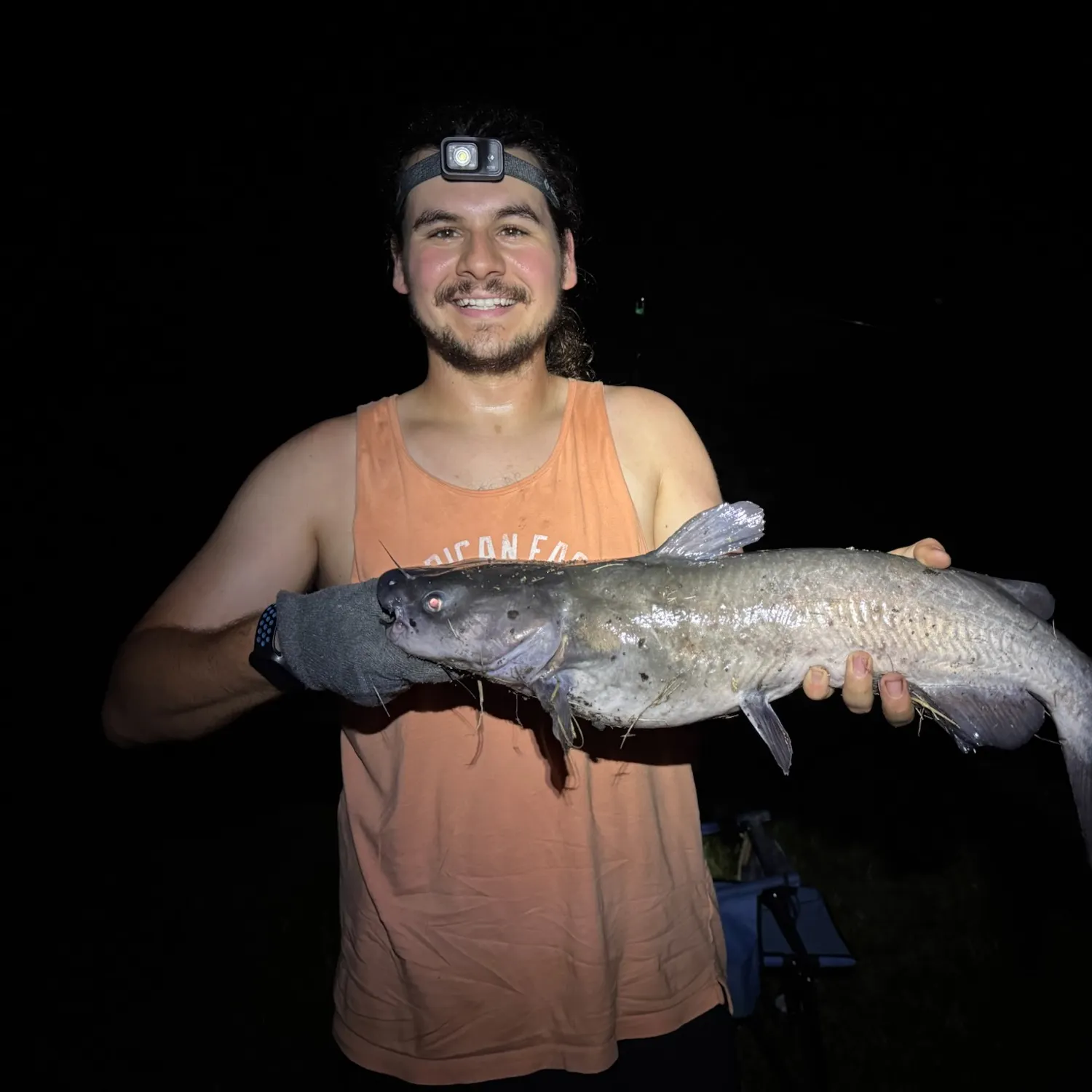 Channel catfish caught on Fishbrain