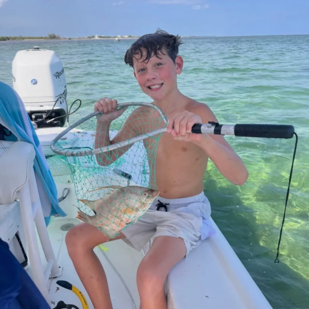 The most recent Lookdown catches on Fishbrain