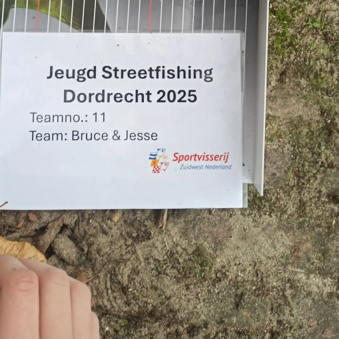 The most recent European perch catches on Fishbrain