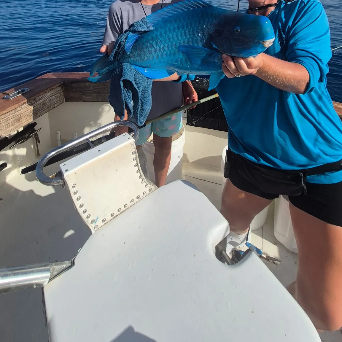 The most recent Blue parrotfish catches on Fishbrain