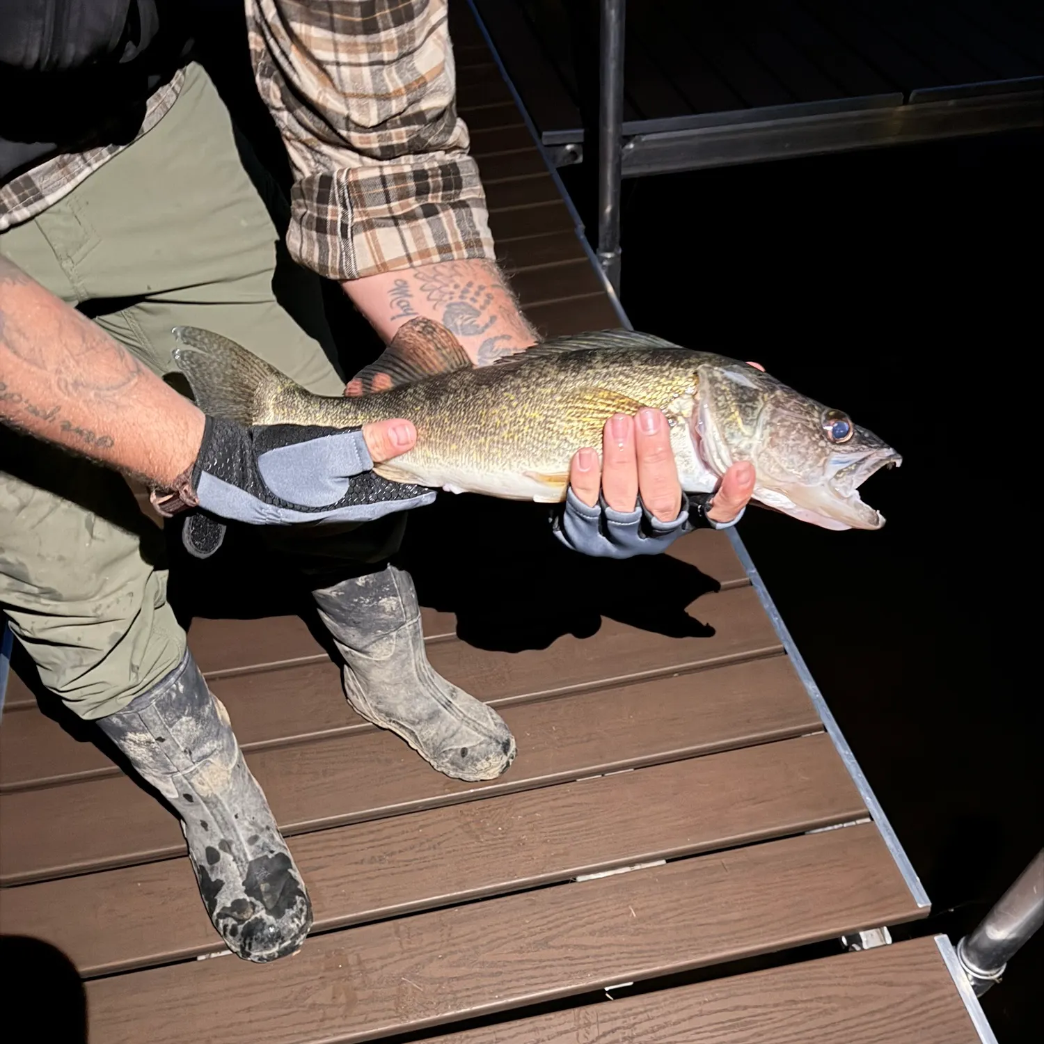 Walleye caught on Fishbrain