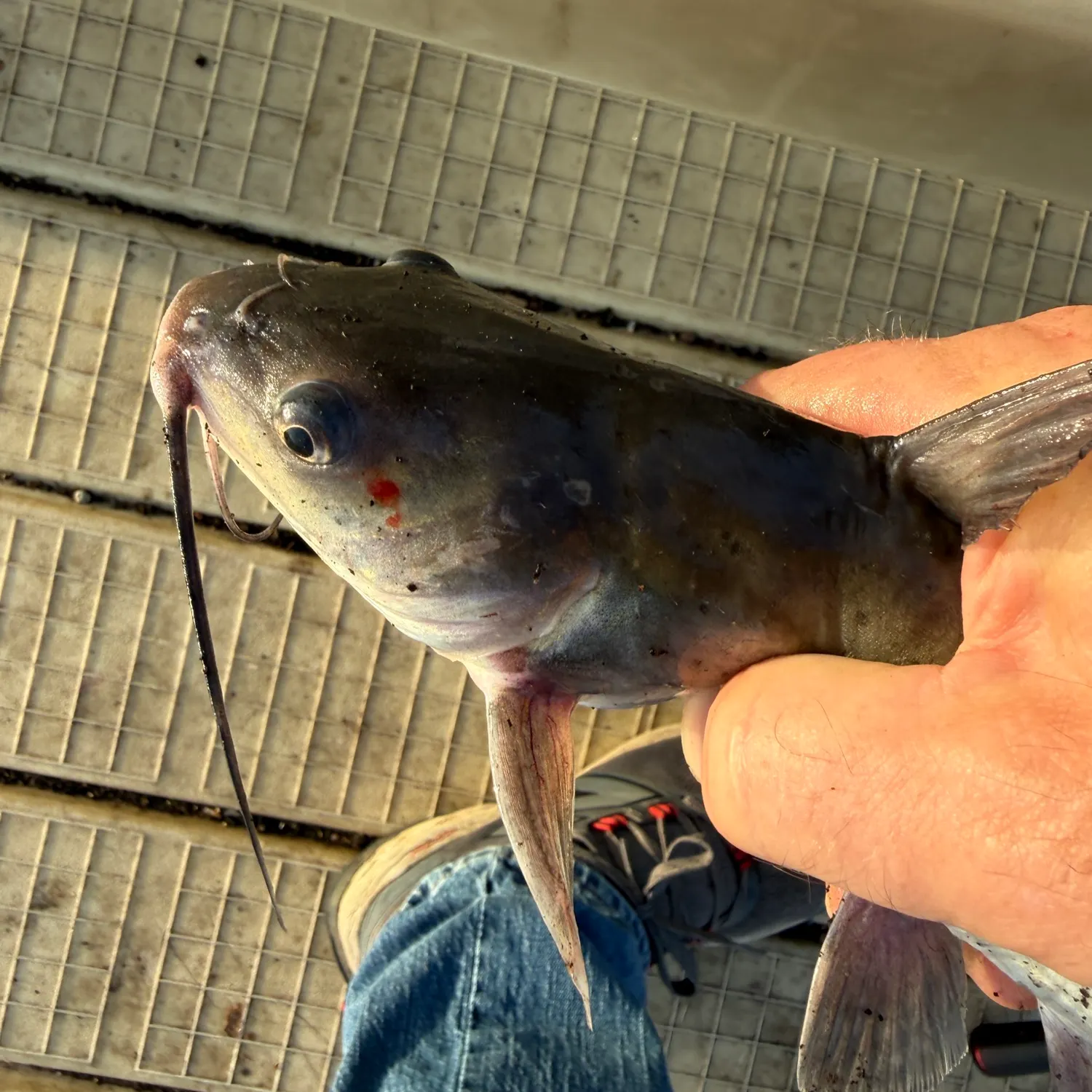 catch