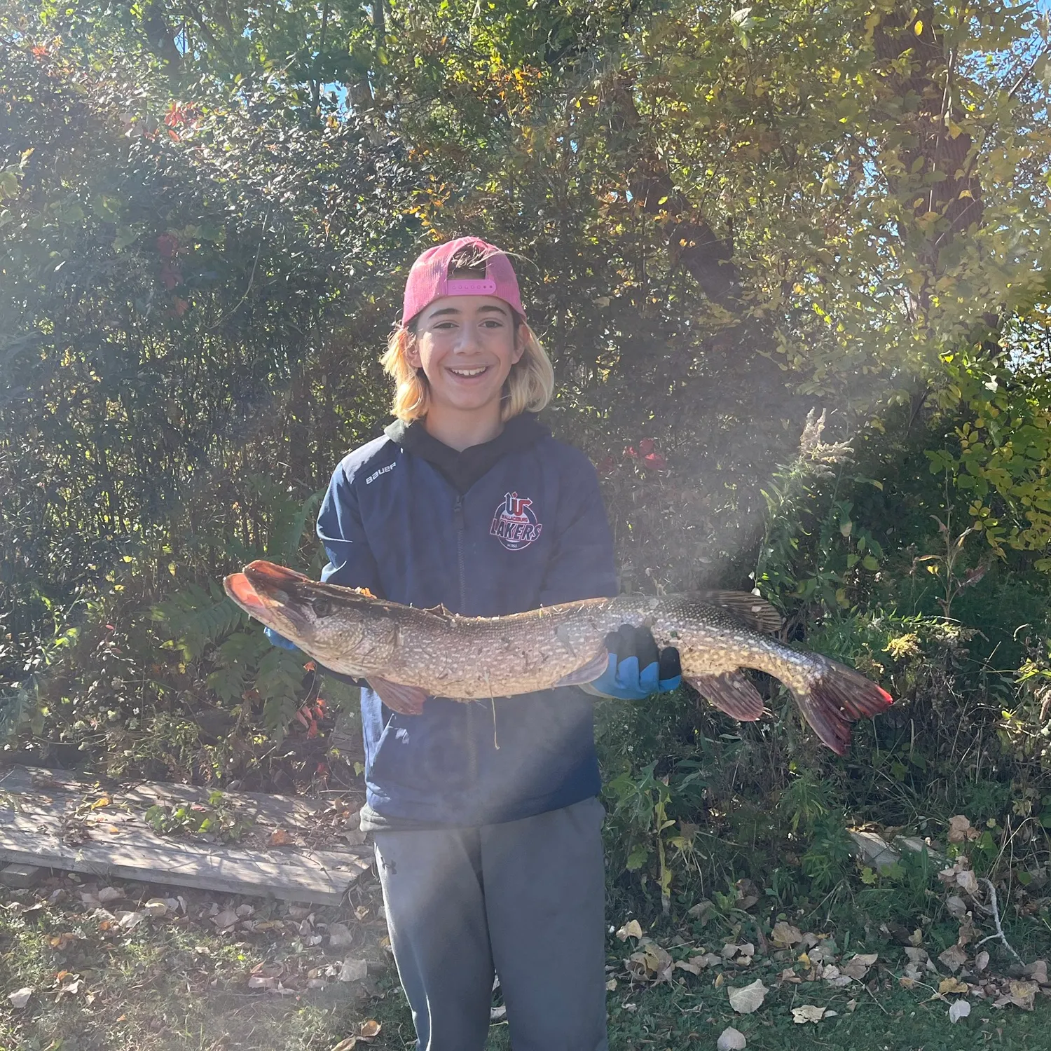 Northern pike caught on Fishbrain