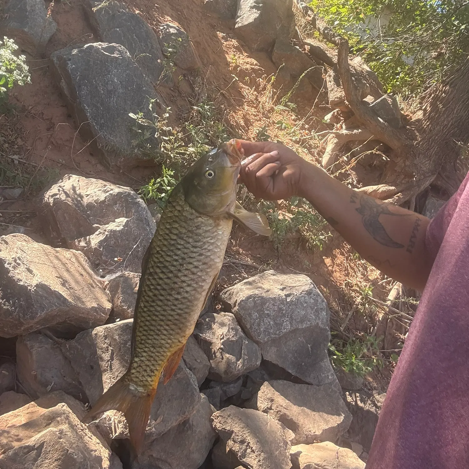 catch