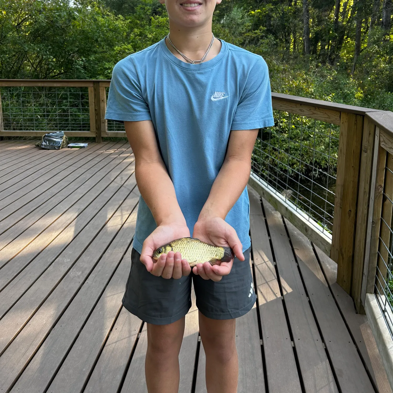 The most recent Round crucian carp catches on Fishbrain