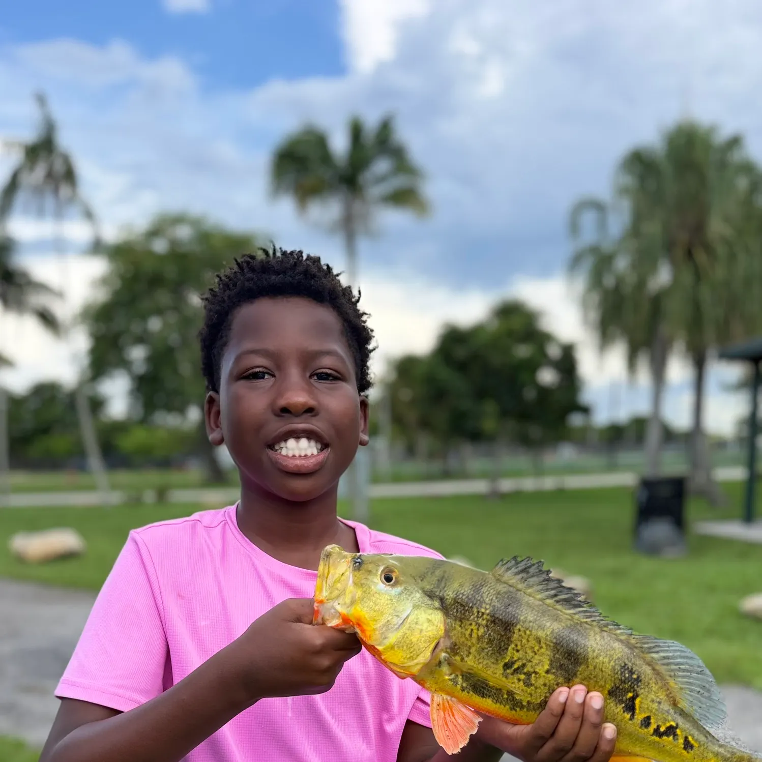Butterfly peacock bass caught on Fishbrain