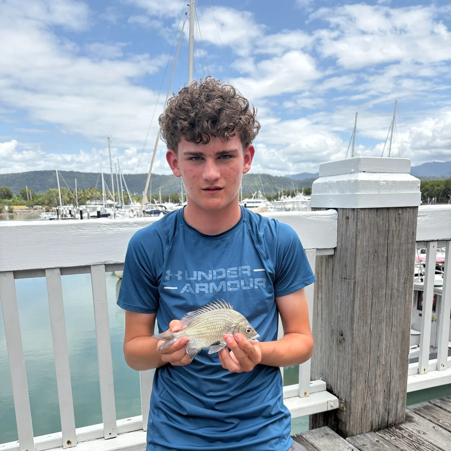 The most recent Pacific seabream catches on Fishbrain