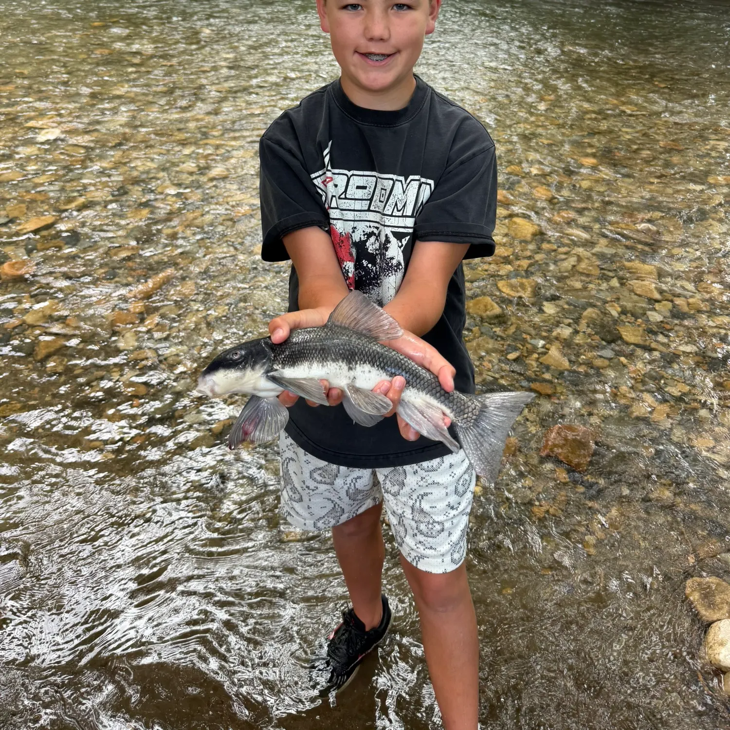 The most recent June sucker catches on Fishbrain