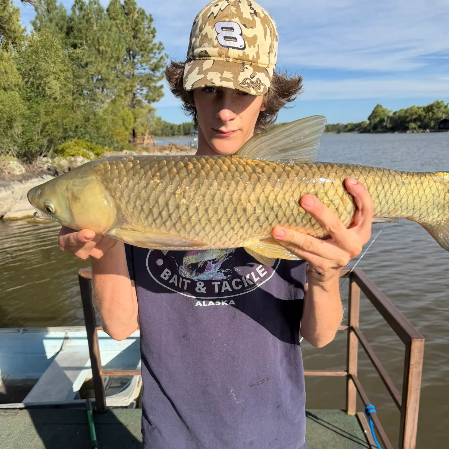 Grass carp caught on Fishbrain