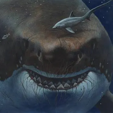 The most recent Niger barb catches on Fishbrain