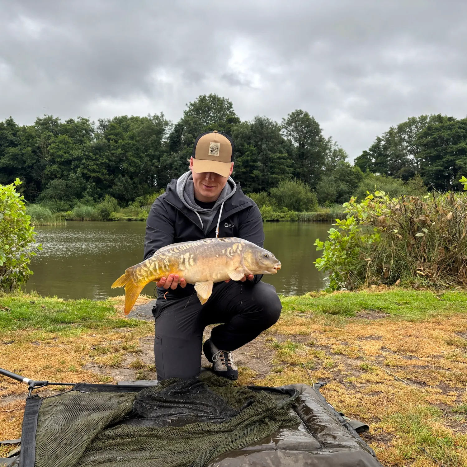 Mirror carp caught on Fishbrain