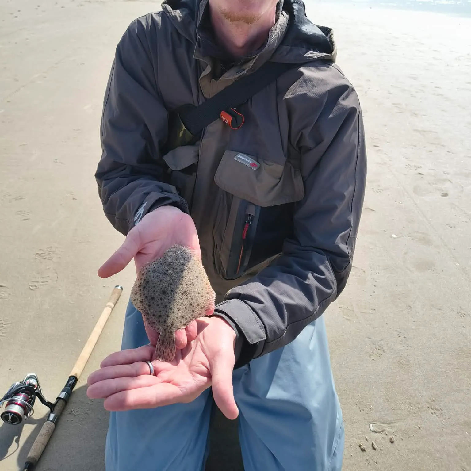 The most recent Turbot catches on Fishbrain