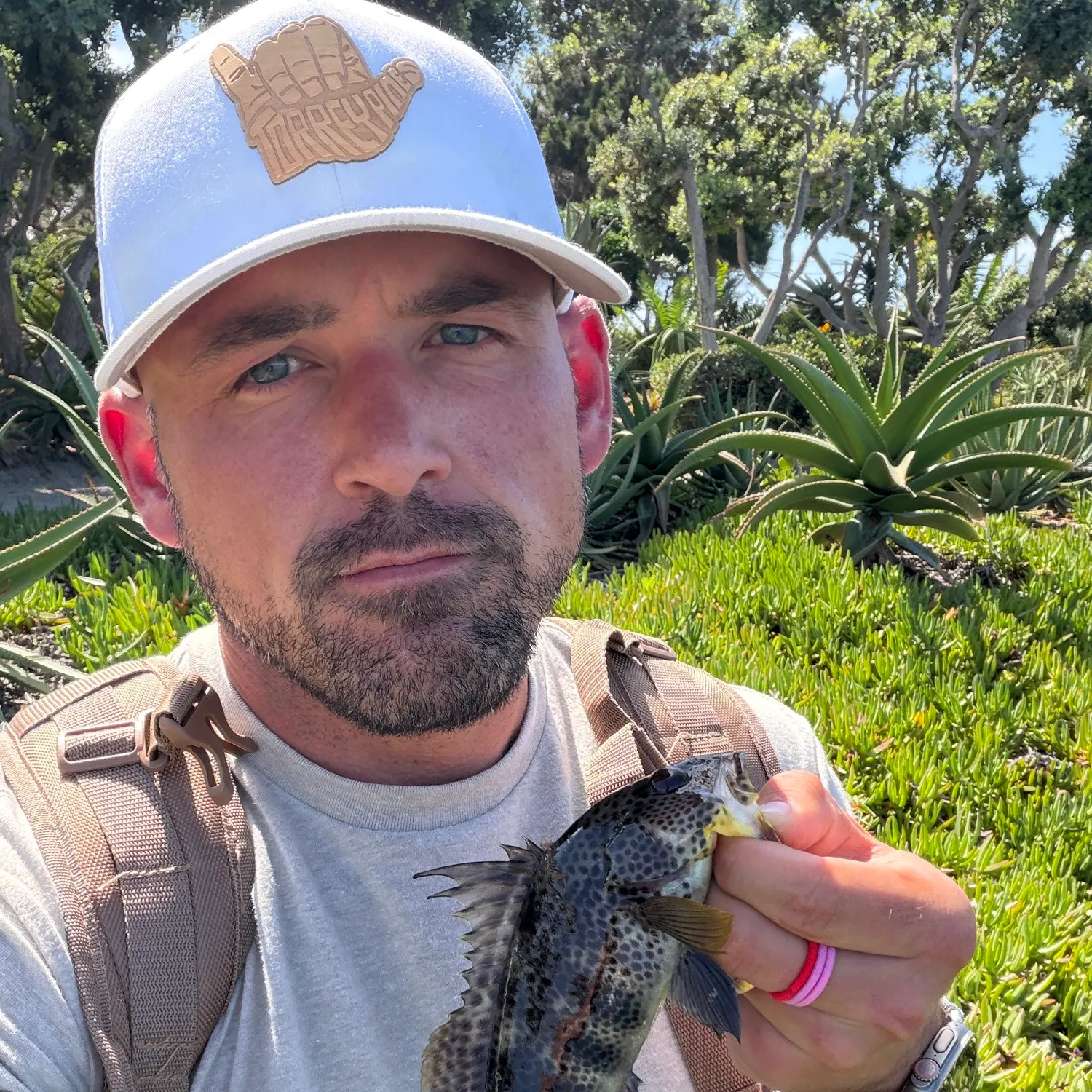Spotted sand bass caught on Fishbrain