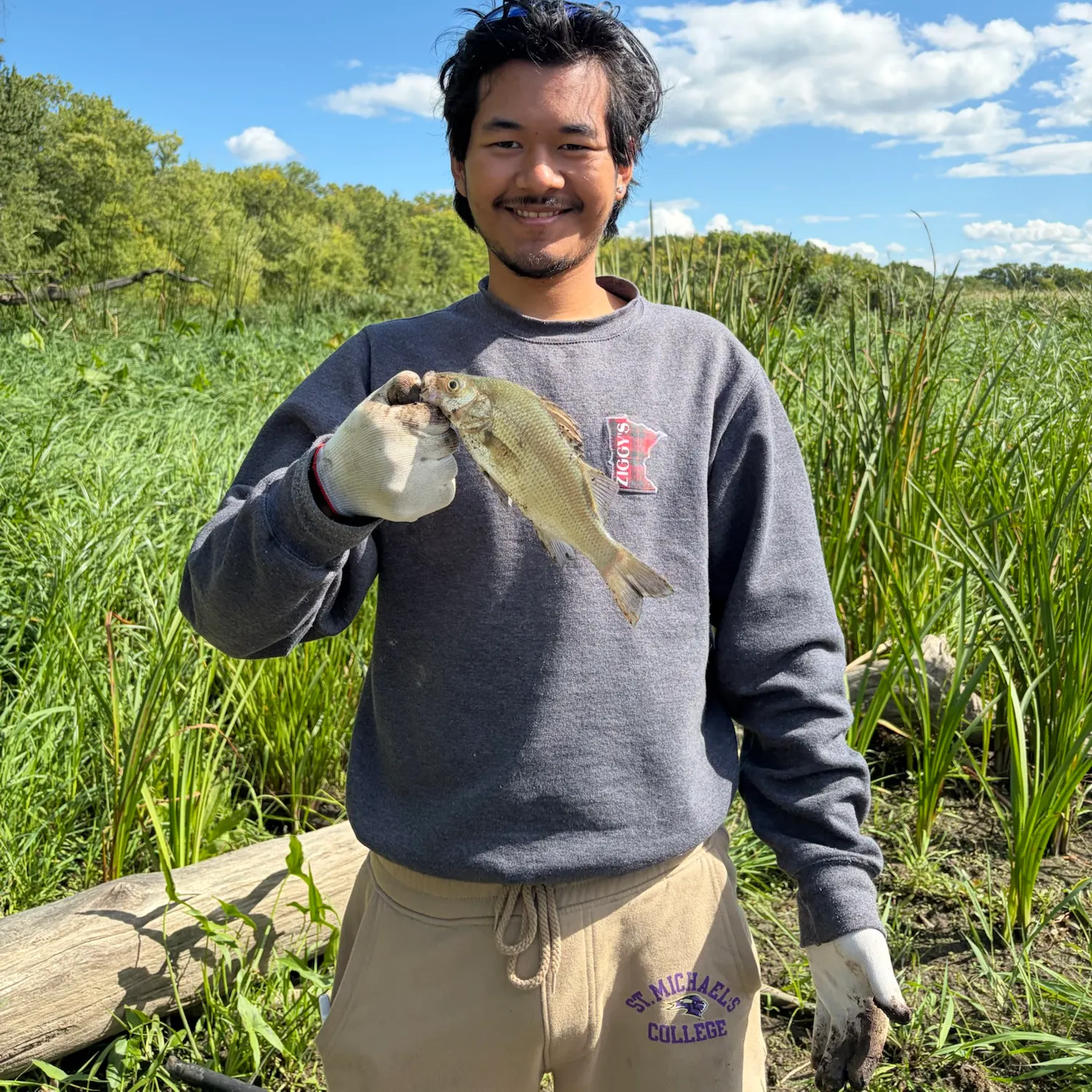 White perch caught on Fishbrain