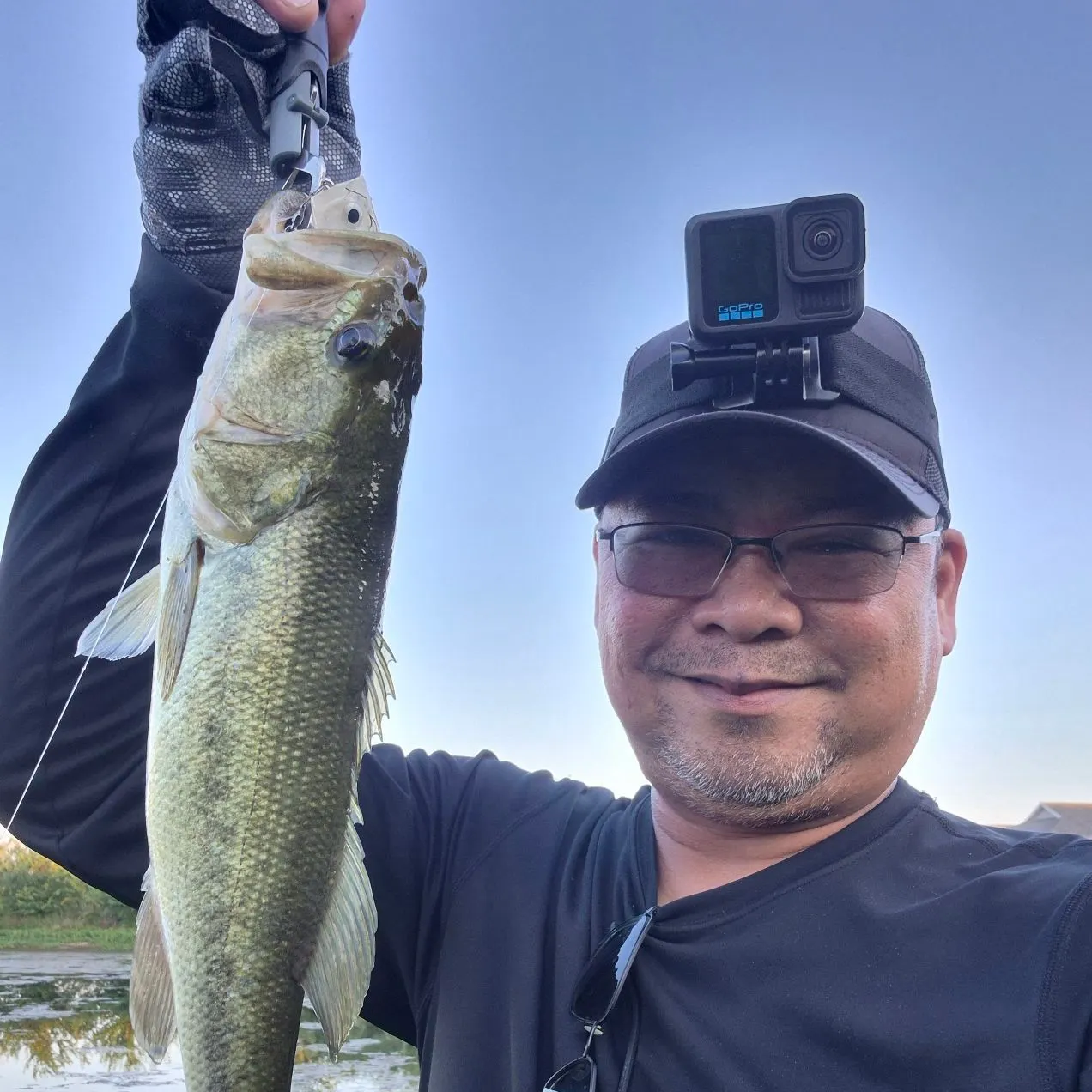 The most recent Largemouth bass catches on Fishbrain
