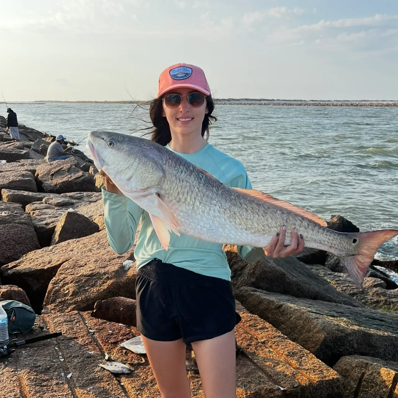 The most recent Red drum catches on Fishbrain