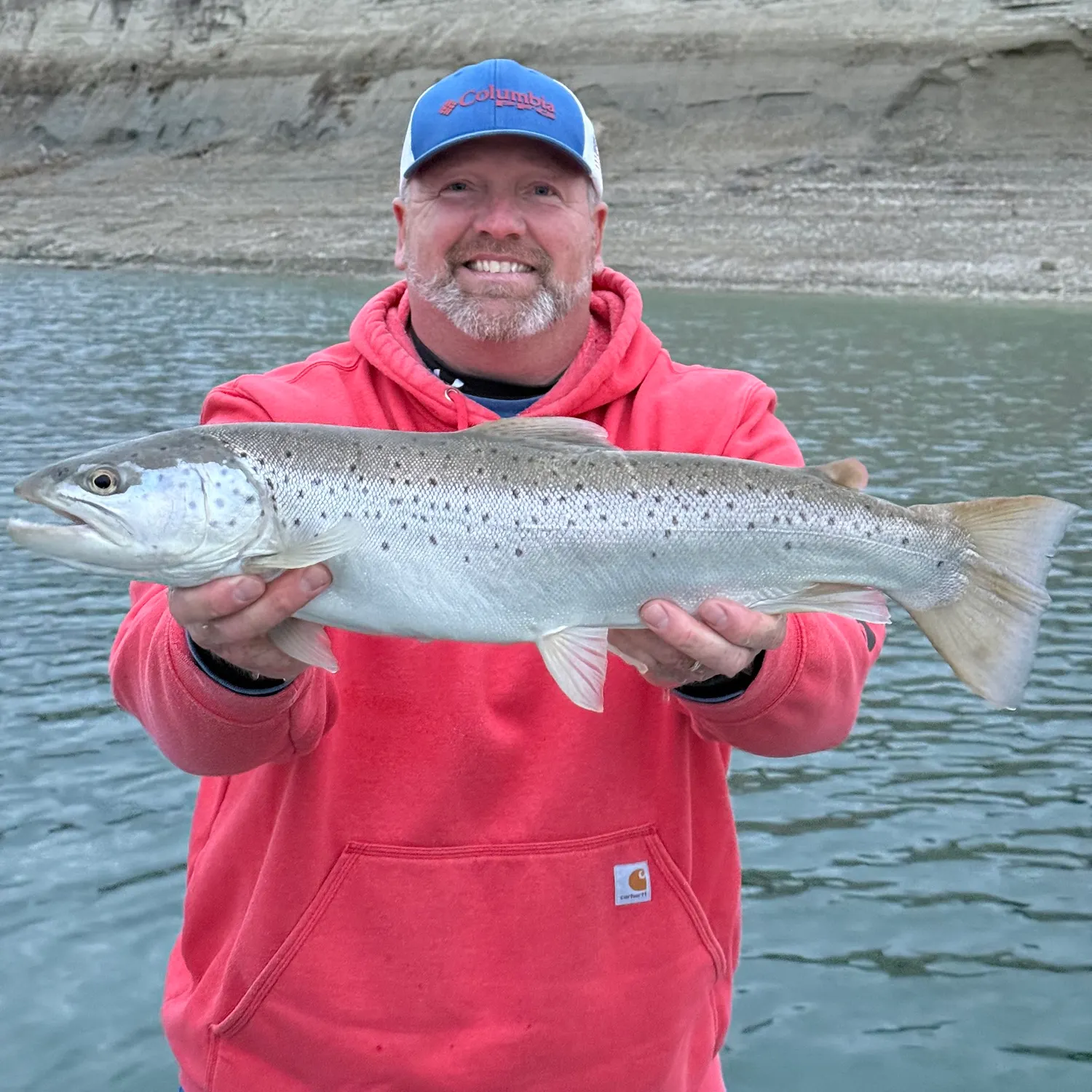 The most recent Brown trout catches on Fishbrain