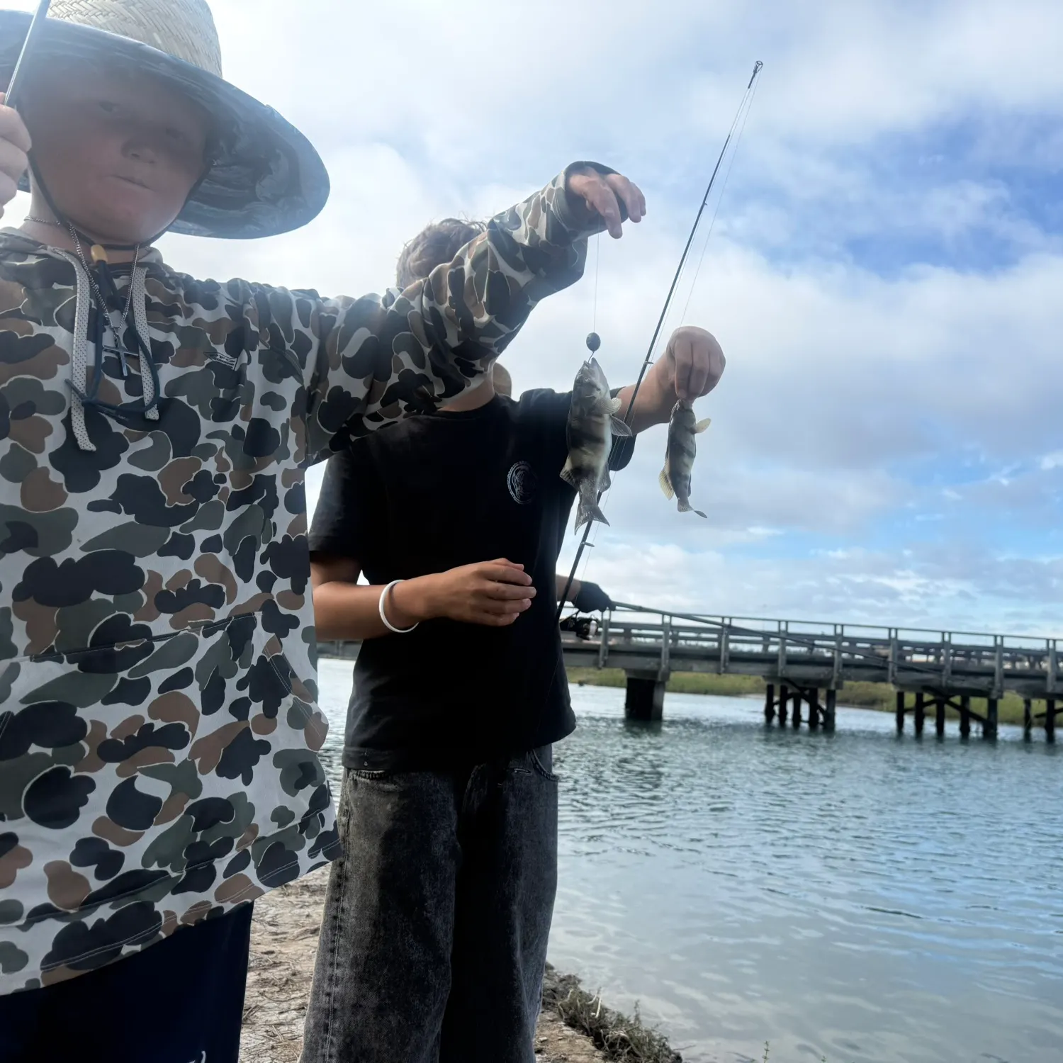 Barred sand bass caught on Fishbrain