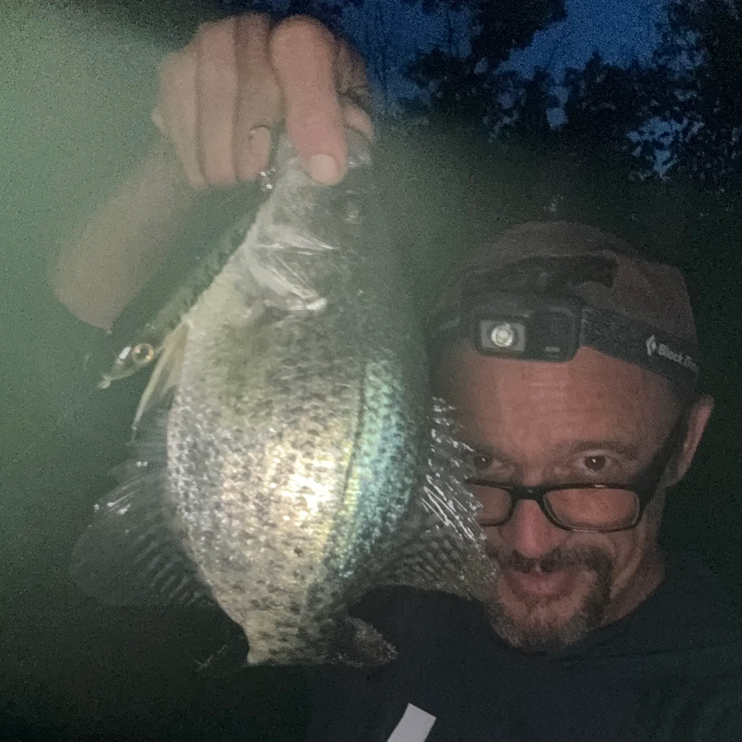 Black crappie caught on Fishbrain