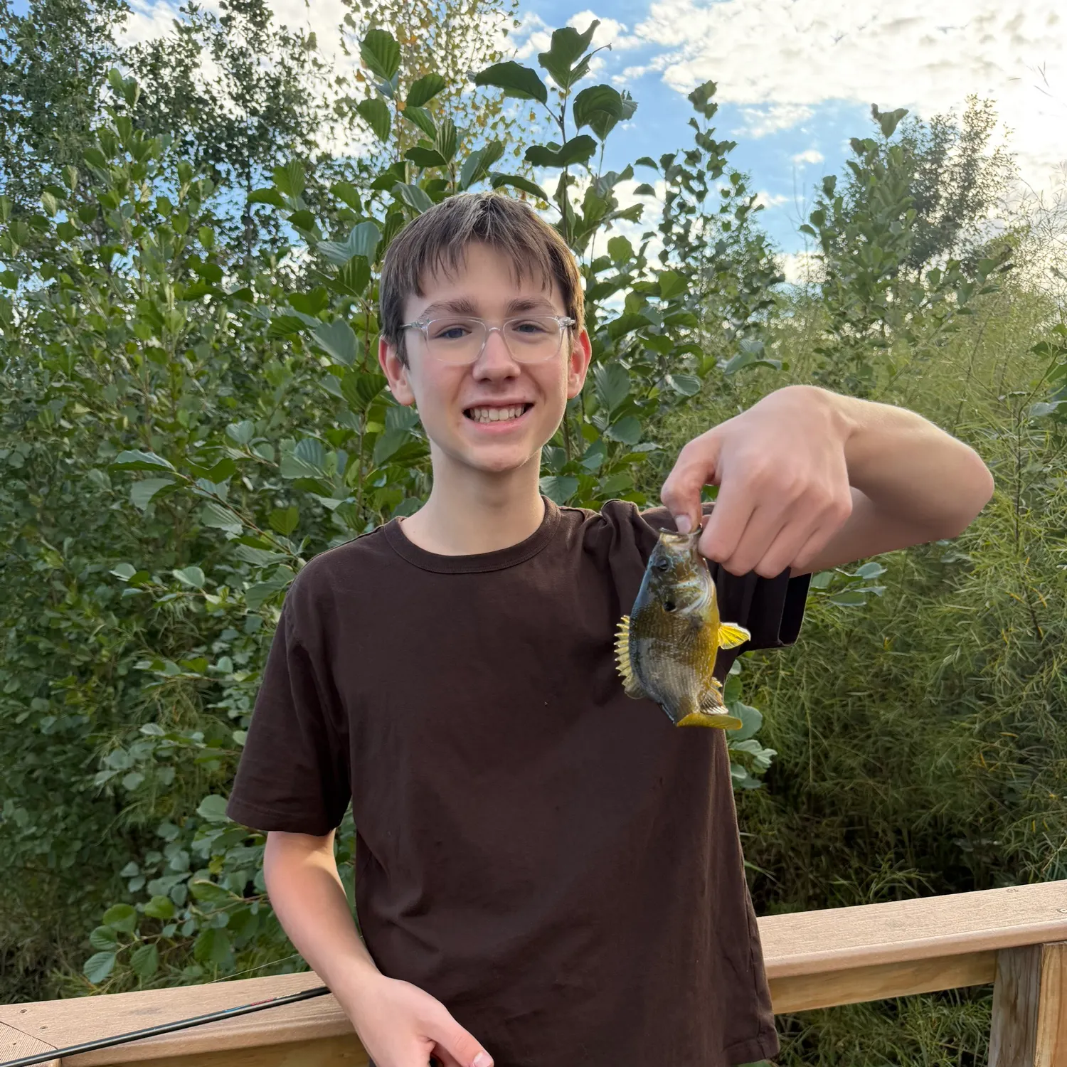 Green sunfish caught on Fishbrain