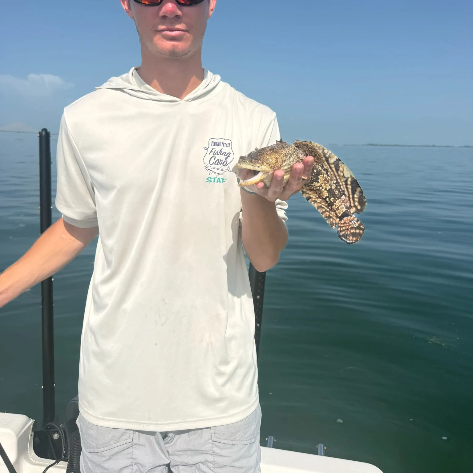 The most recent Oyster toadfish catches on Fishbrain