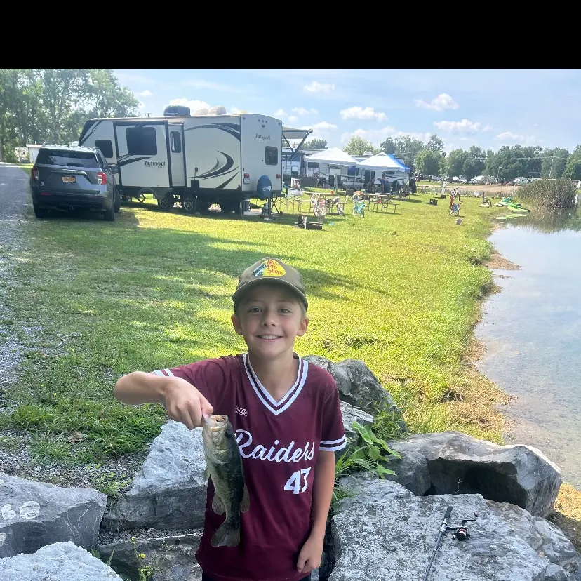 Fish caught on Fishbrain
