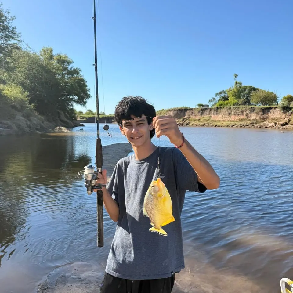 The most recent Small-scaled pacu catches on Fishbrain