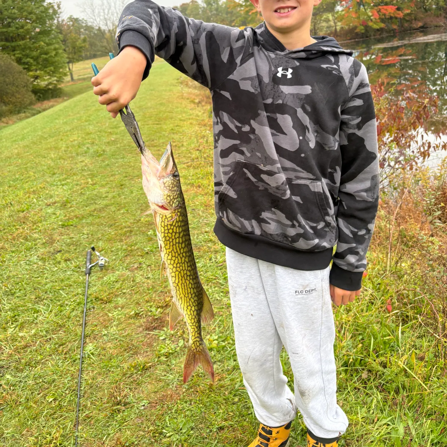 Chain pickerel caught on Fishbrain