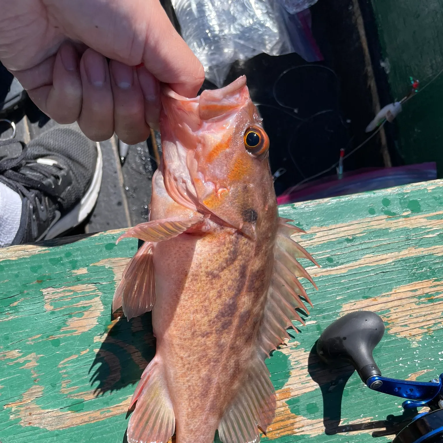 catch