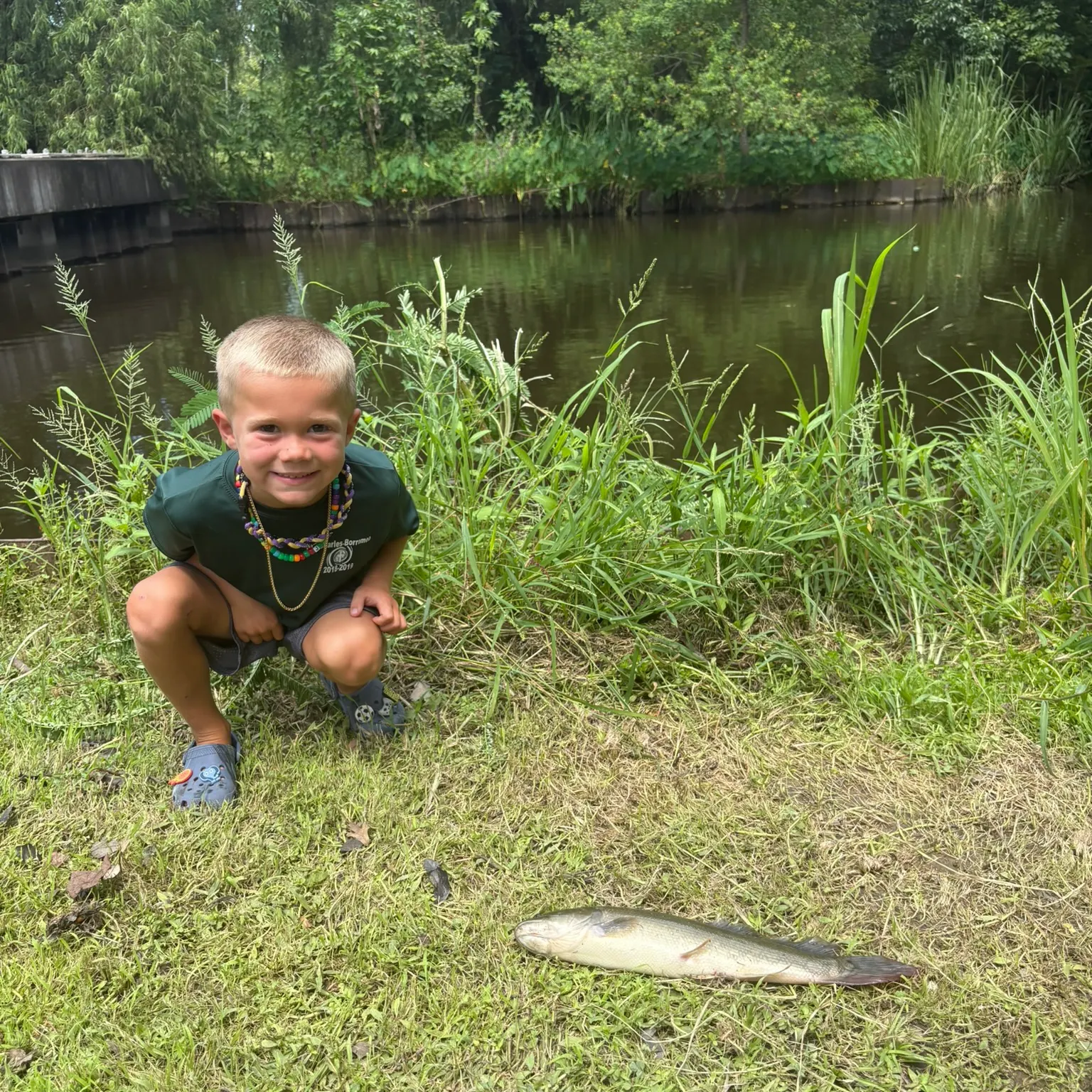 The most recent Eyetail bowfin catches on Fishbrain