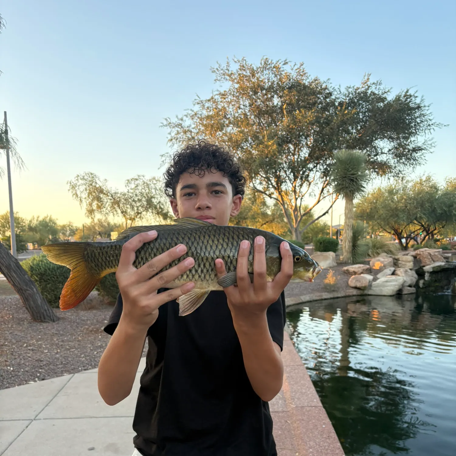catch