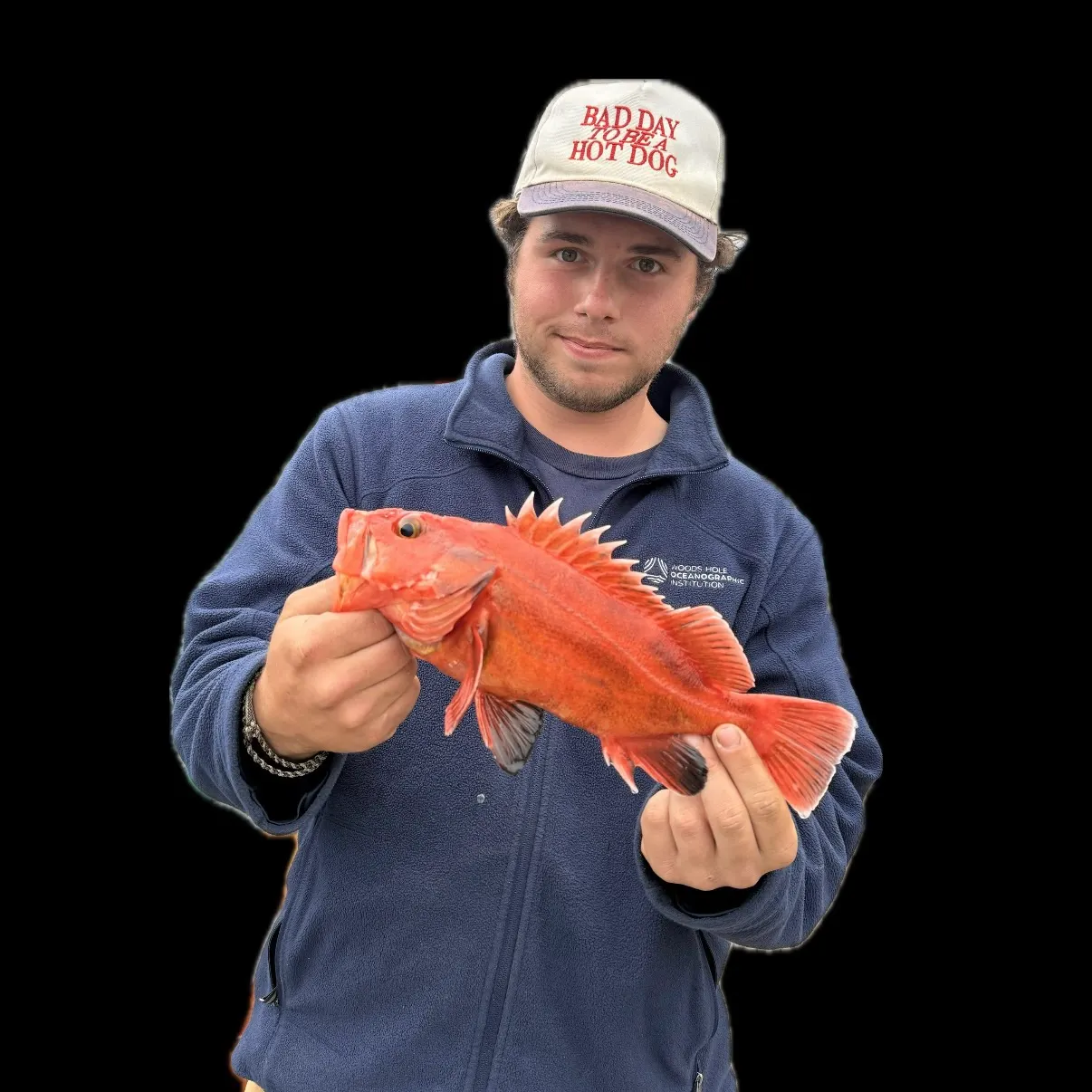 The most recent Vermilion rockfish catches on Fishbrain