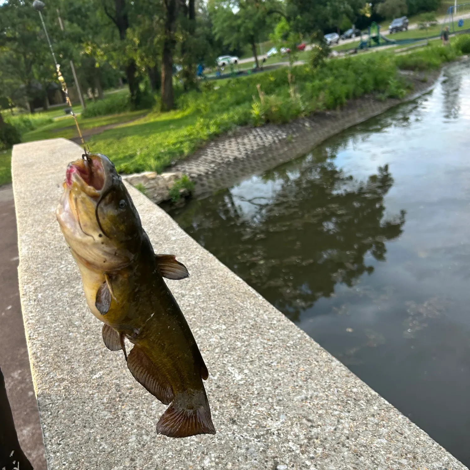 catch