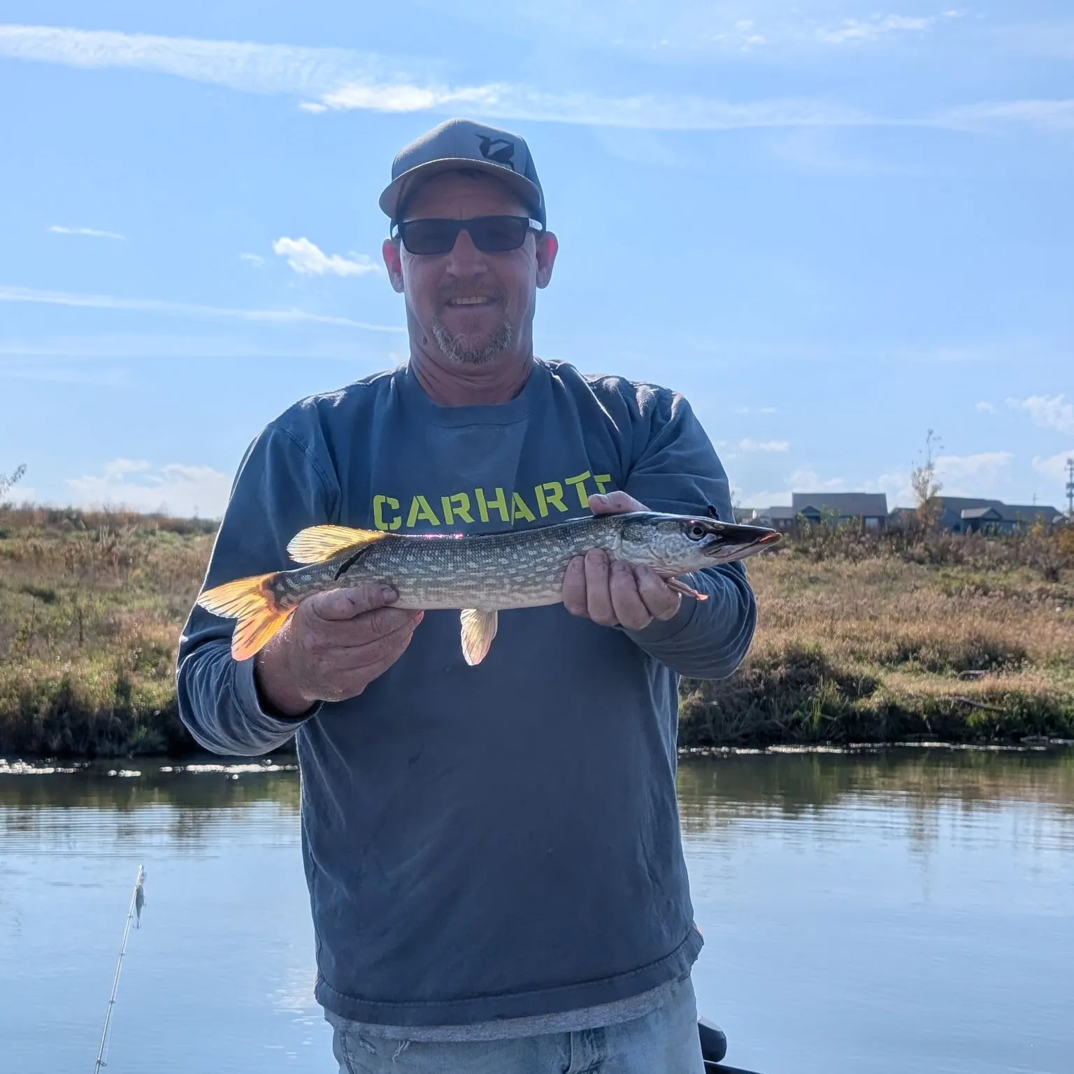 Northern pike caught on Fishbrain