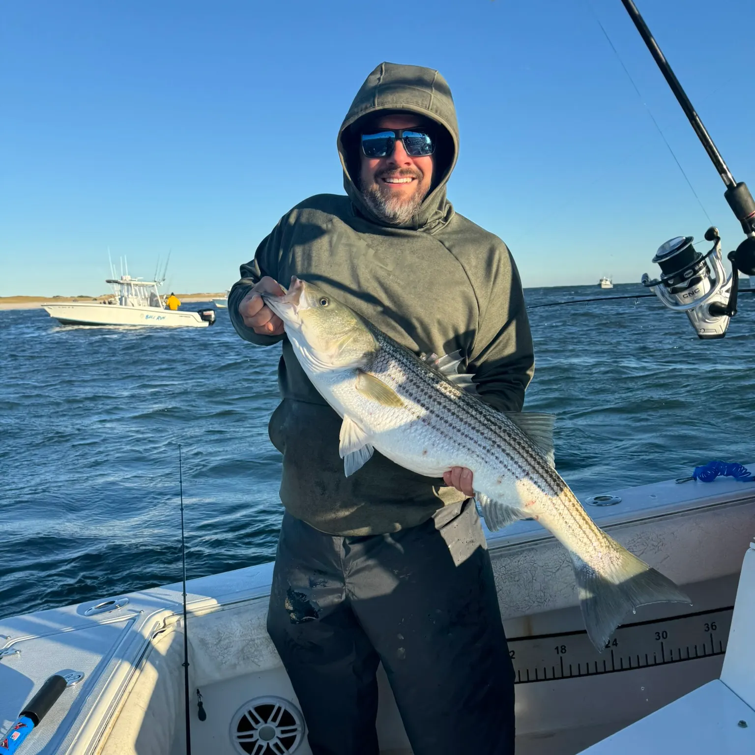 The most recent Striped bass catches on Fishbrain