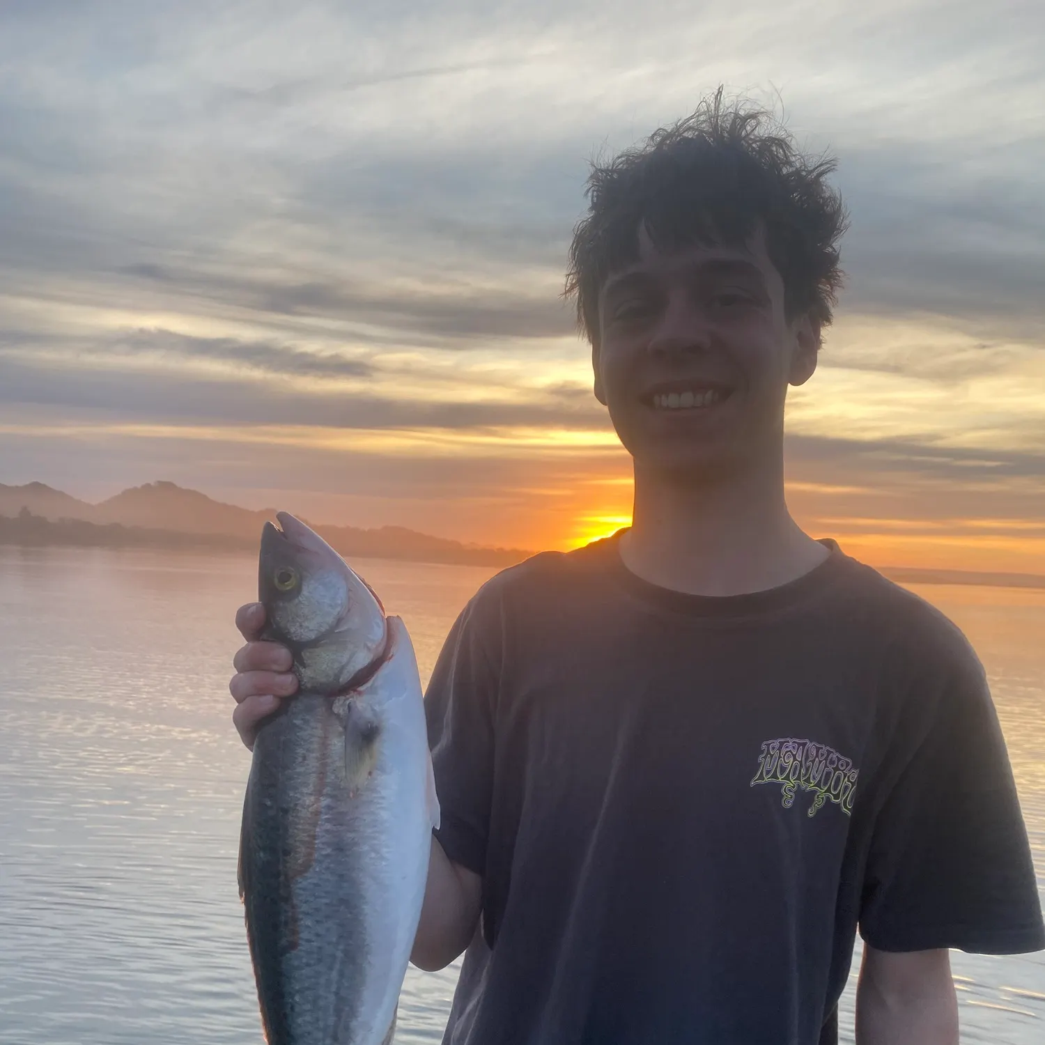 Eastern Australian salmon caught on Fishbrain